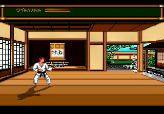Gameplay of Budokan - The Martial Spirit