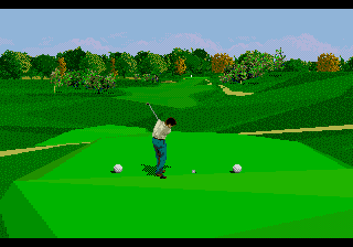 Gameplay of PGA Tour 96