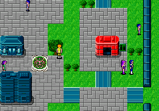 screenshot (br)