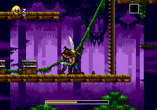 Pirates of Dark Water, The (USA, Europe) (May 1994)