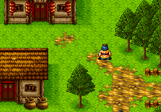 Gameplay of Tun Shi Tian Di III