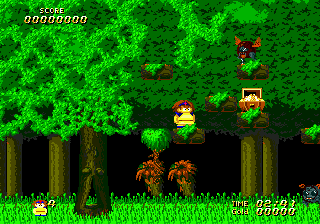 Gameplay of Wardner