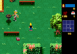 Gameplay of Zombies Ate My Neighbors