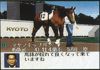 TurfWind '96 - Take Yutaka Kyousouba Ikusei Game (Japan)