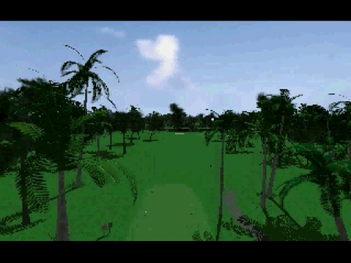 World Cup Golf - In Hyatt Dorado Beach (Japan) (En,Ja)
