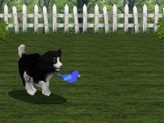 screenshot (jp)