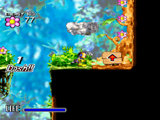 Pinobee (USA, Europe)