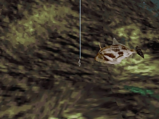 Reel Fishing II