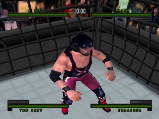 WWF Attitude