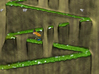Wild Thornberrys, The - Animal Adventures