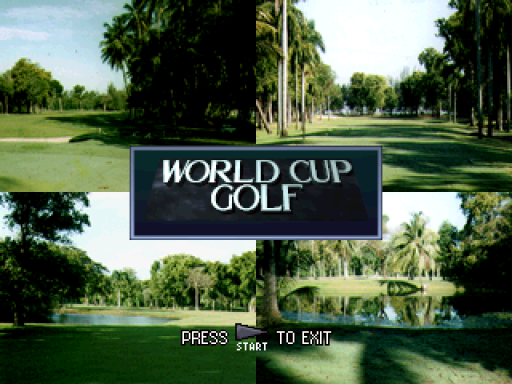 World Cup Golf - Professional Edition