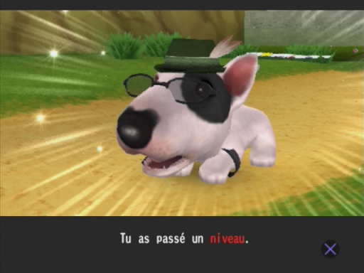 Artlist Collection - The Dog Island
