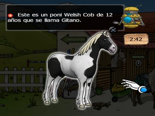 Clever Kids - Pony World