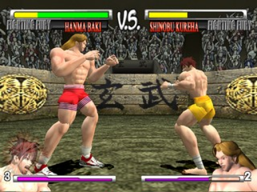 Fighting Fury