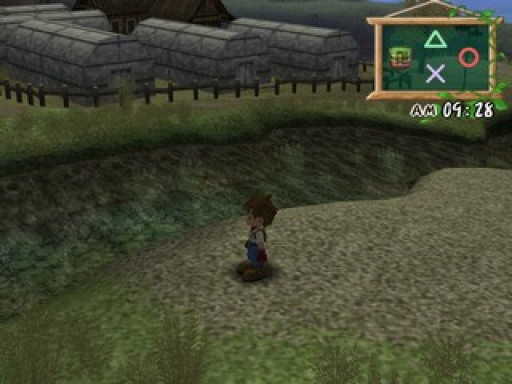 Harvest Moon - A Wonderful Life - Special Edition