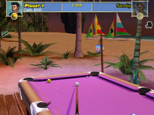 Pool Paradise - International Edition