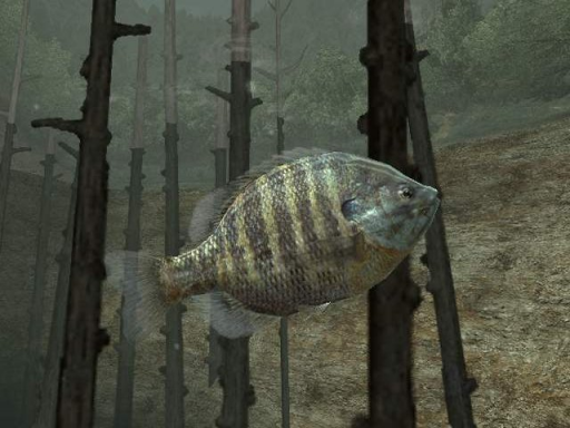 Reel Fishing III