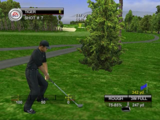 Tiger Woods PGA Tour 07