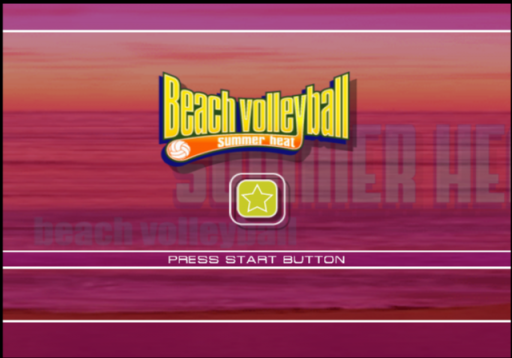 Summer Heat Beach Volleyball