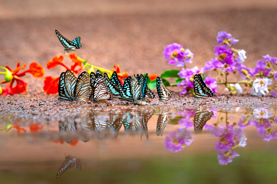 Group of butterflies on colorful flowers near a reflective water puddle.