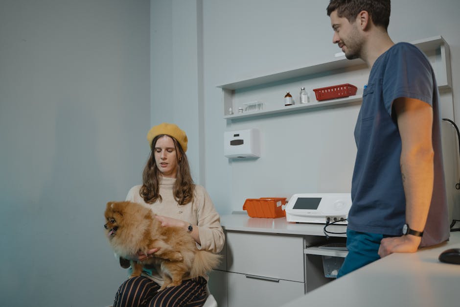 Woman with Pomeranian at a veterinary clinic consulting with a vet.