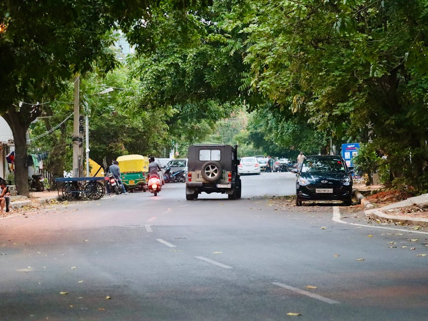 Street scene in Bengaluru with cars, scooter, and greenery, showcasing urban lifestyle.