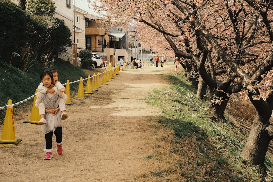 Children enjoying a spring day under cherry blossom trees in Okazaki, Aichi, Japan.