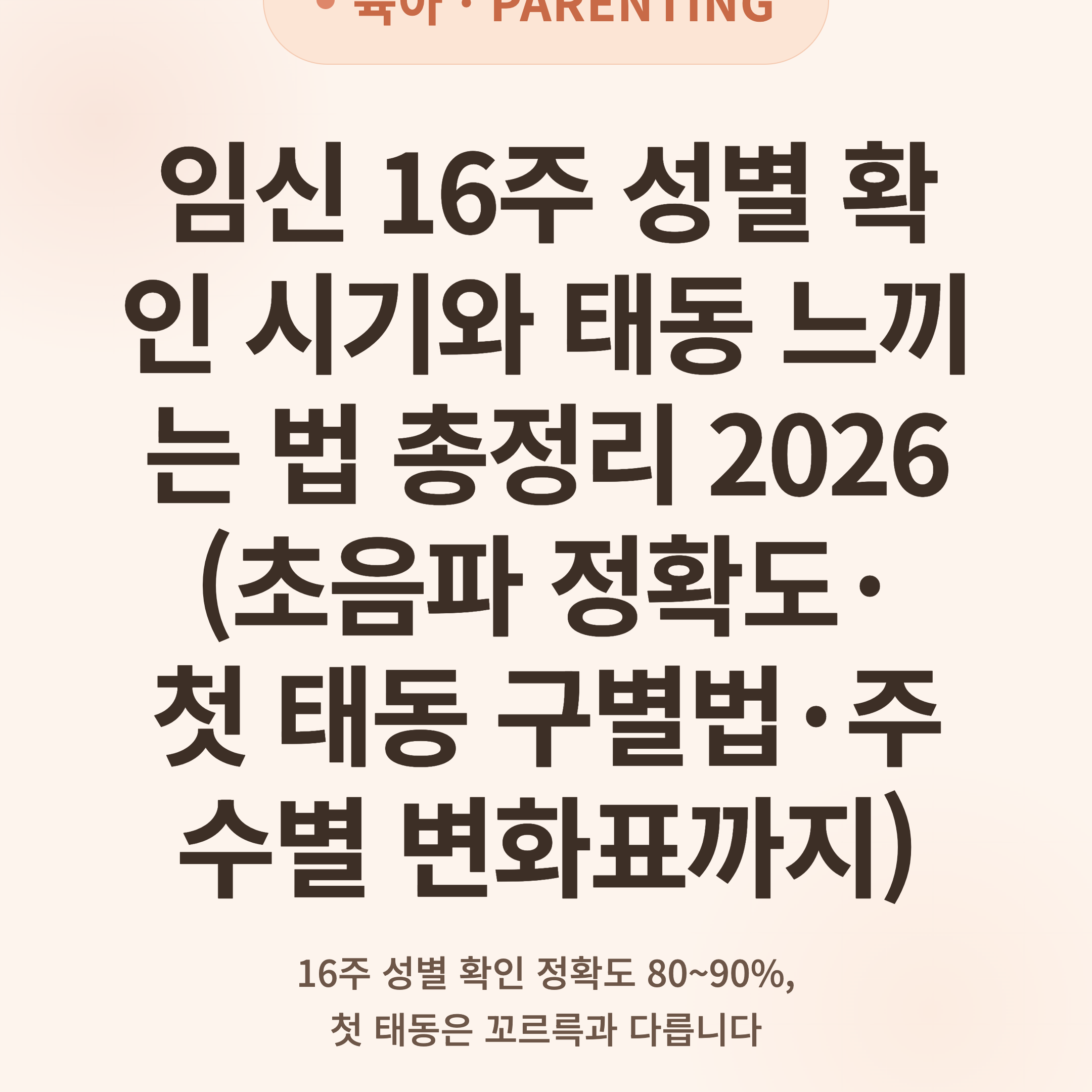 임신 16주 성별 확인 시기와 태동 느끼는 법 총정리 2026 (초음파 정확도·첫 태동 구별법·주수별 변화표까지)