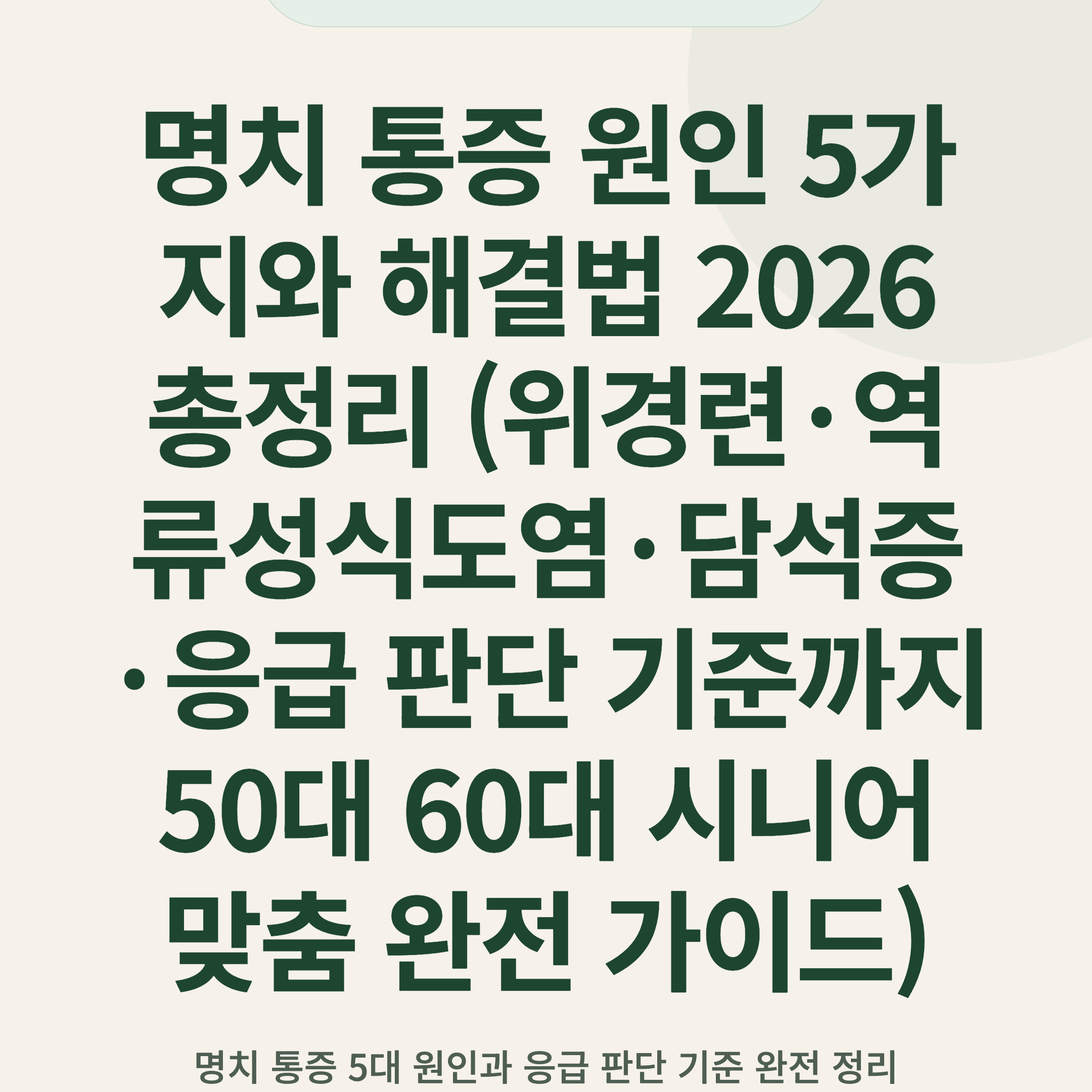 명치 통증 원인 5가지와 해결법 2026 총정리 (위경련·역류성식도염·담석증·응급 판단 기준까지 50대 60대 시니어 맞춤 완전 가이드)