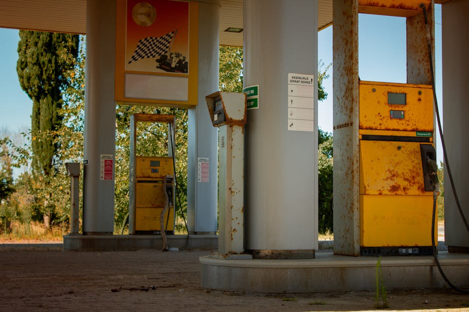 An outdoor view of an abandoned gas station with rusty pumps and overgrown vegetation.