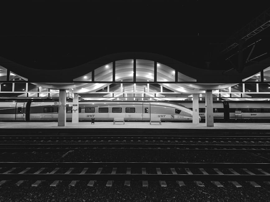 Black and white photo of Eskişehir train station at night, showcasing architectural design.
