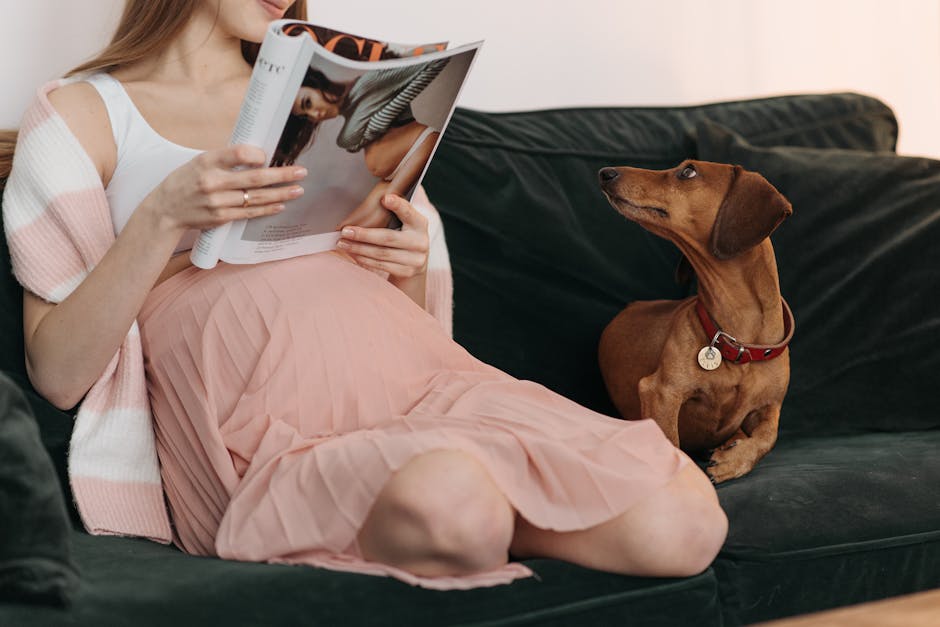 A pregnant woman reading a magazine with her dachshund relaxing on a couch.