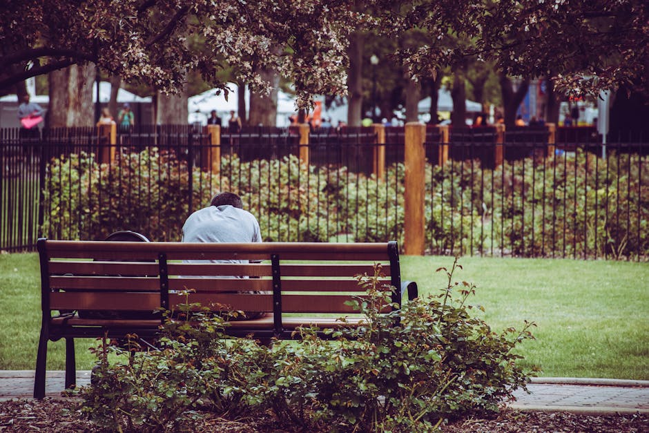A person sitting alone on a park bench, surrounded by greenery in an urban park setting.