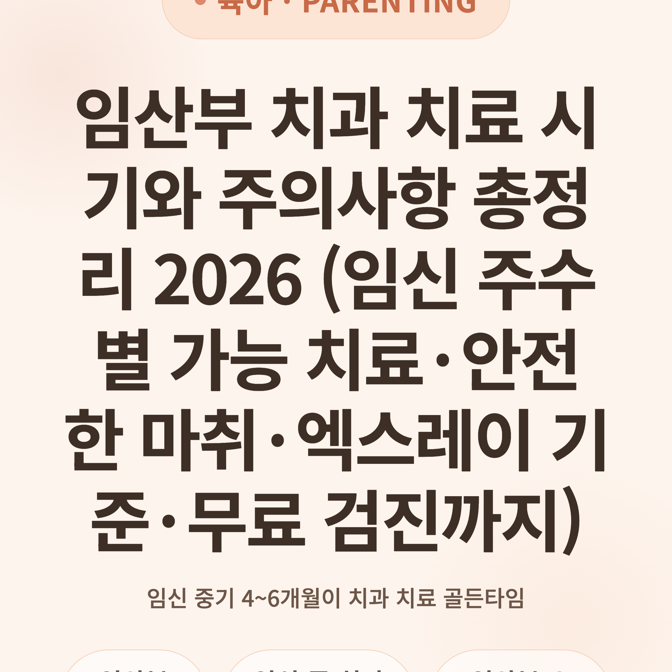 임산부 치과 치료 시기와 주의사항 총정리 2026 (임신 주수별 가능 치료·안전한 마취·엑스레이 기준·무료 검진까지)