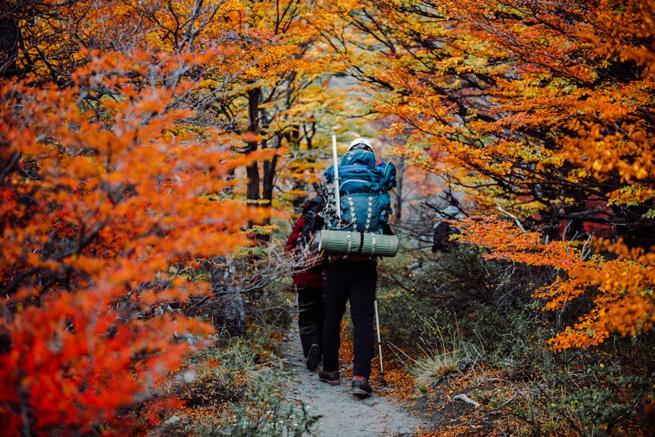 A group of hikers enjoying a colorful autumn trek in El Chalten, Argentina.