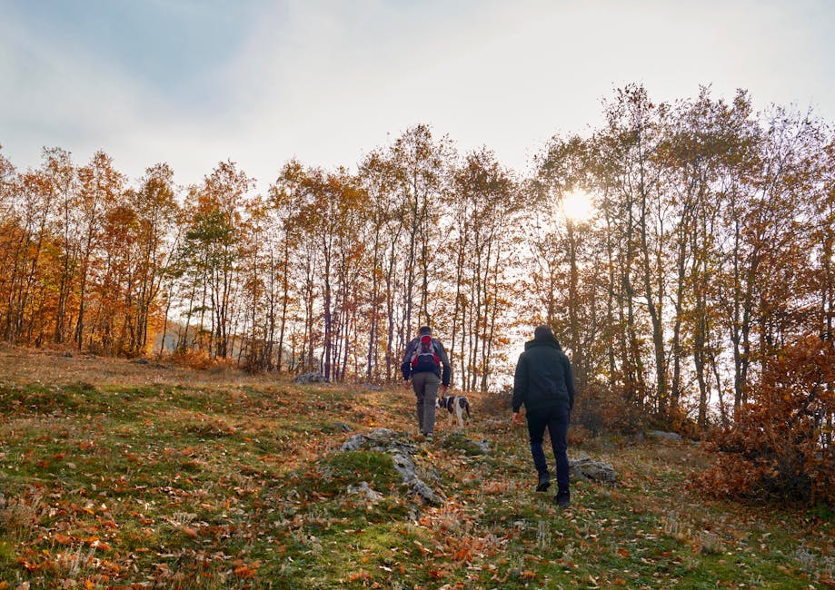 A scenic autumn hike through a forest in Kukës, Albania with people and a dog.