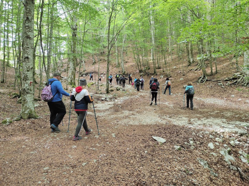 Hikers enjoying a scenic walk through a wooded trail in Laceno, Campania, Italy.