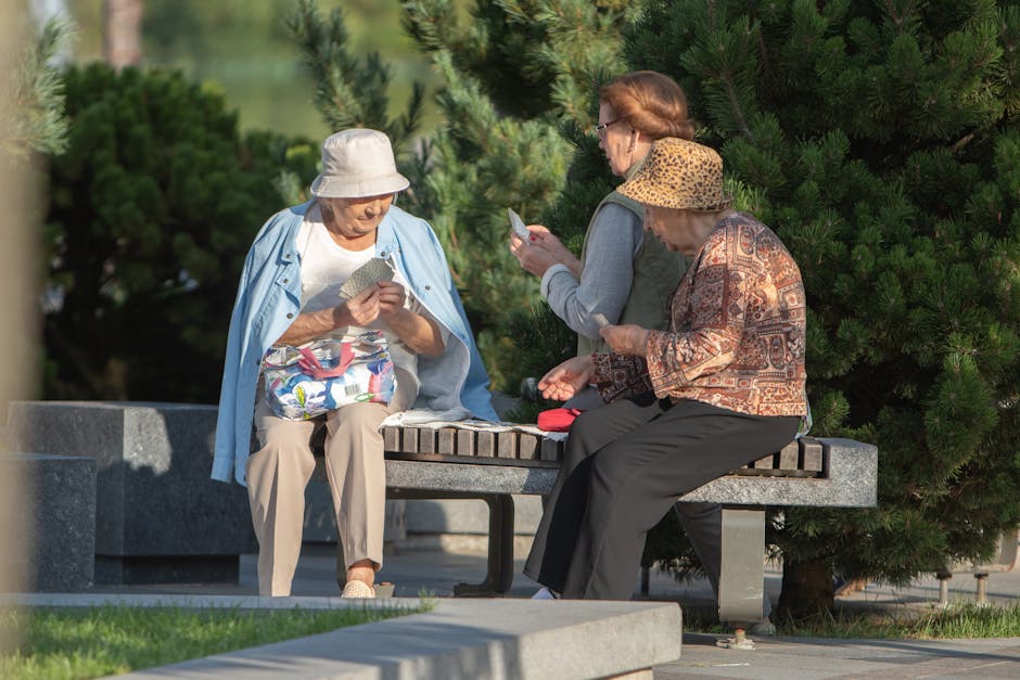 Elderly women enjoy a sunny day playing cards on a bench in a park setting, capturing leisure and friendship.