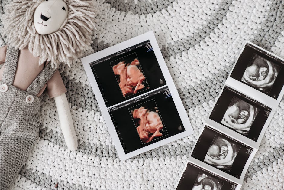A baby ultrasound printout next to a lion stuffed toy on a knitted rug, symbolizing prenatal care.