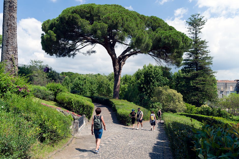 Tourists enjoy a summer stroll along a lush park pathway lined with vibrant trees.