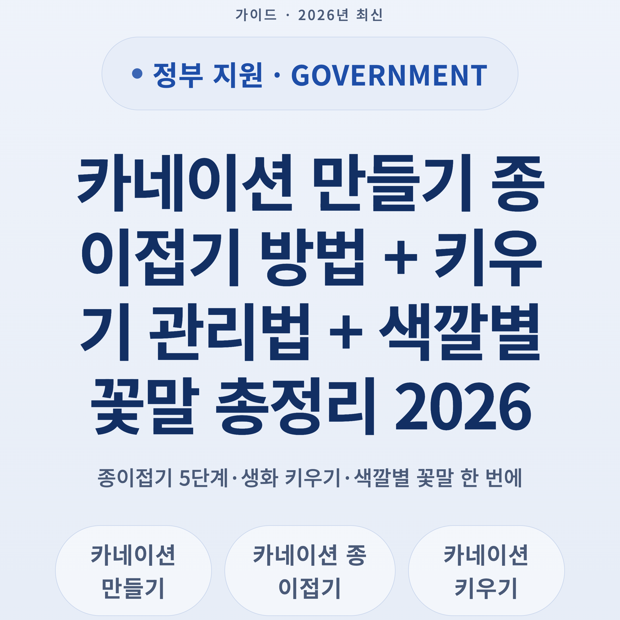 카네이션 만들기 종이접기 방법 + 키우기 관리법 + 색깔별 꽃말 총정리 2026