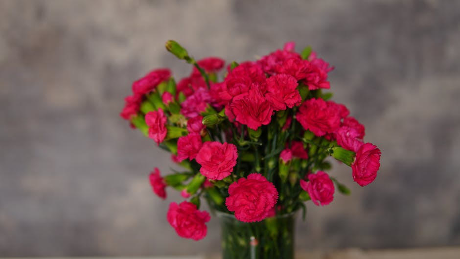 A bouquet of vibrant pink carnations elegantly arranged in a glass vase.
