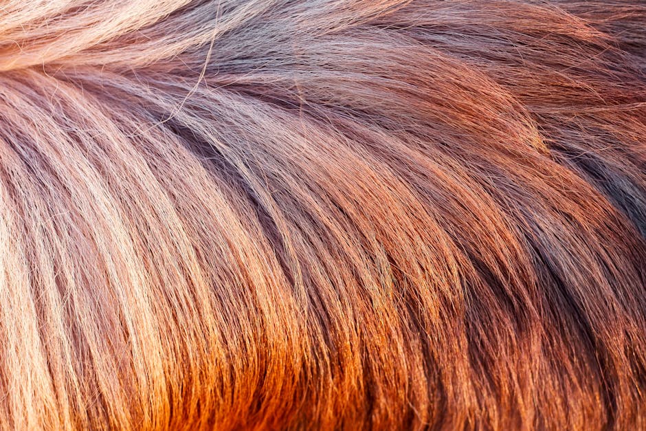 Detailed close-up of textured brown and blonde animal fur, showcasing natural patterns.