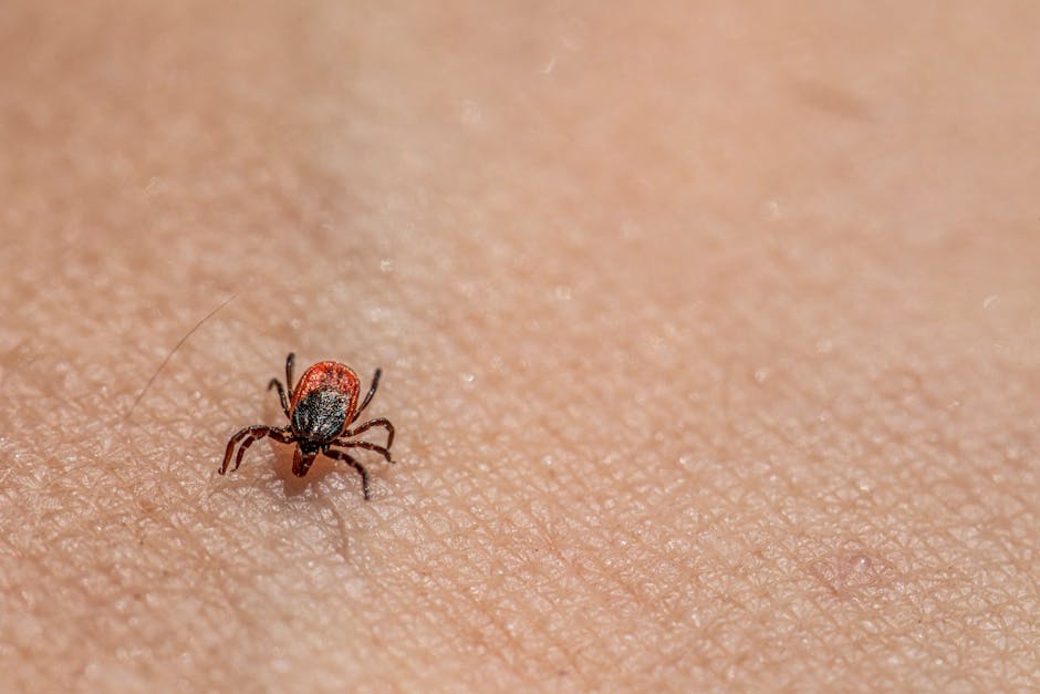 Macro image of a tick on human skin, highlighting textures and details.