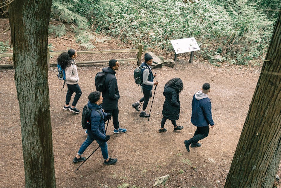 A group of friends enjoying a leisurely hike through a serene forest trail.