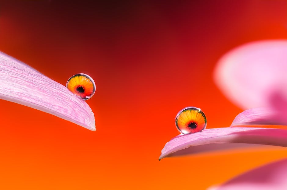 Close-up of petals with raindrop reflections of vibrant flowers, showcasing nature's beauty.