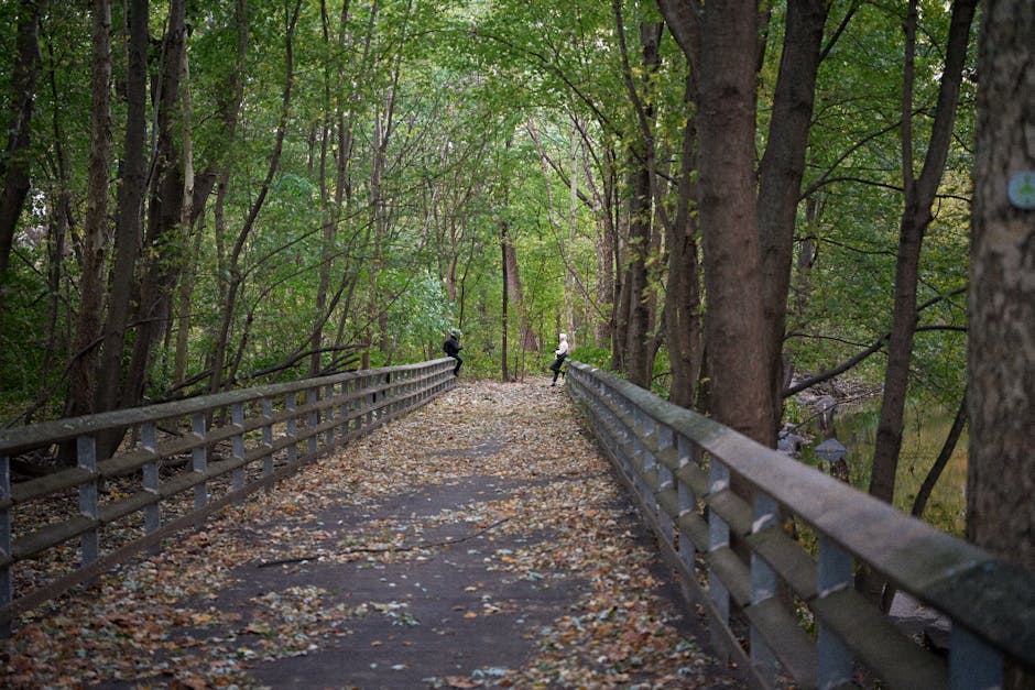 A serene walkway through a lush forest with fallen autumn leaves and two people in the distance.