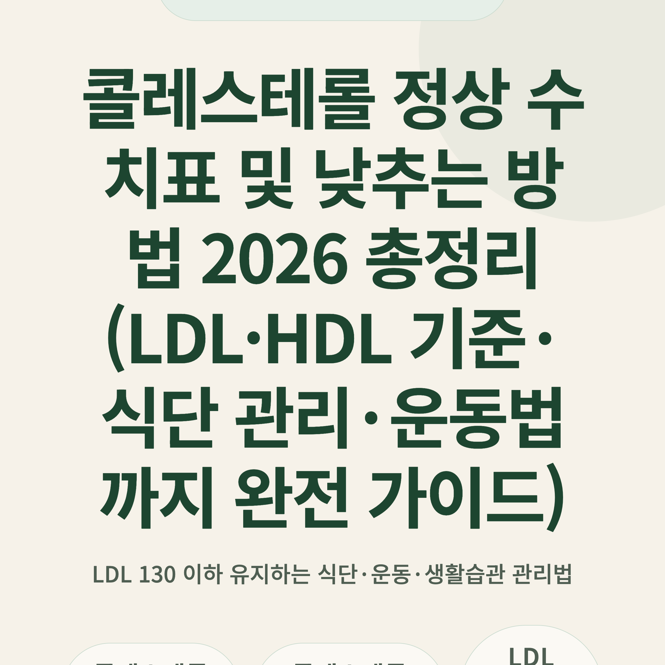 콜레스테롤 정상 수치표 및 낮추는 방법 2026 총정리 (LDL·HDL 기준·식단 관리·운동법까지 완전 가이드)