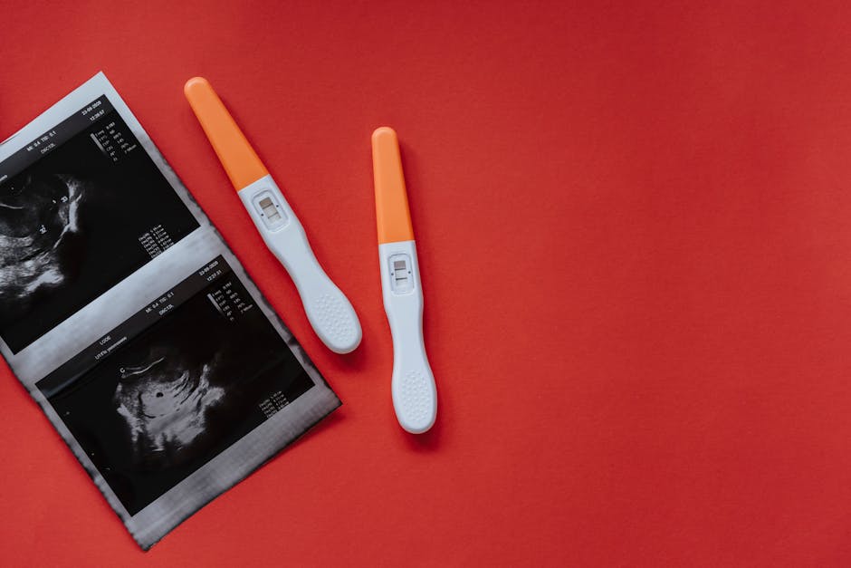 A flat lay of two pregnancy tests and ultrasound images on a red background, conveying anticipation and excitement.