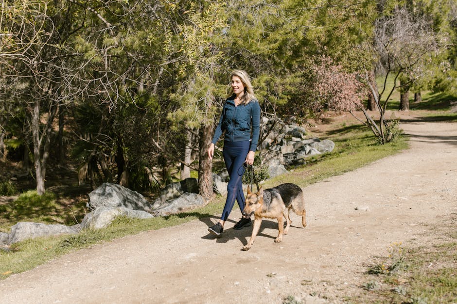 Woman in blue jacket walking a German Shepherd on a sunny park trail.